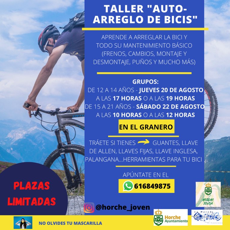 Taller Auto-Arreglo de Bicis