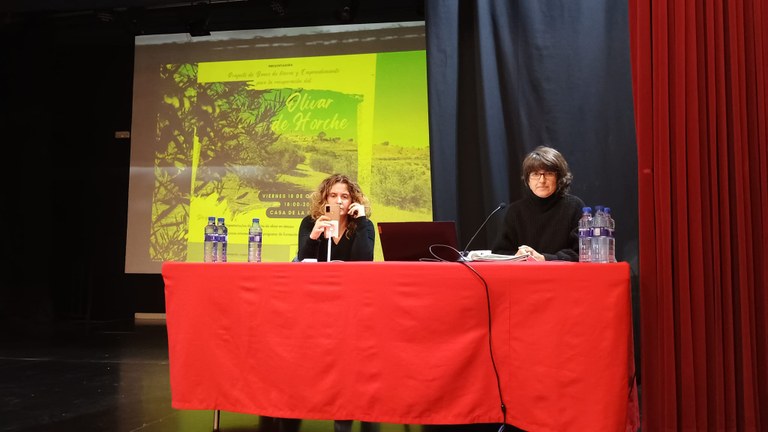 horche_reunion_olivar08.jpg