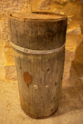 COLMENA DE TRONCO.jpg