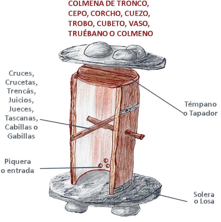 COLMENA DE TRONCO.png
